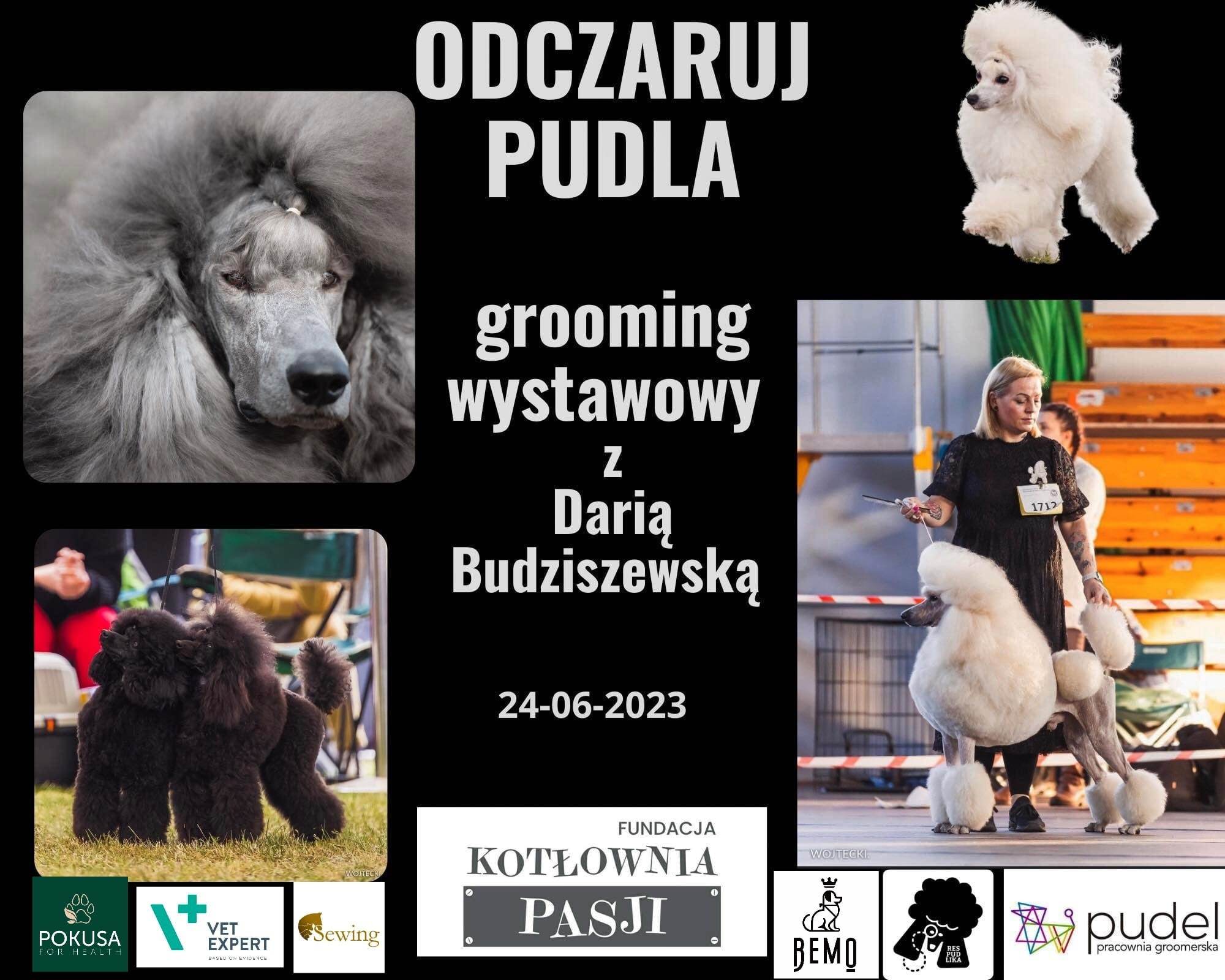 pudel